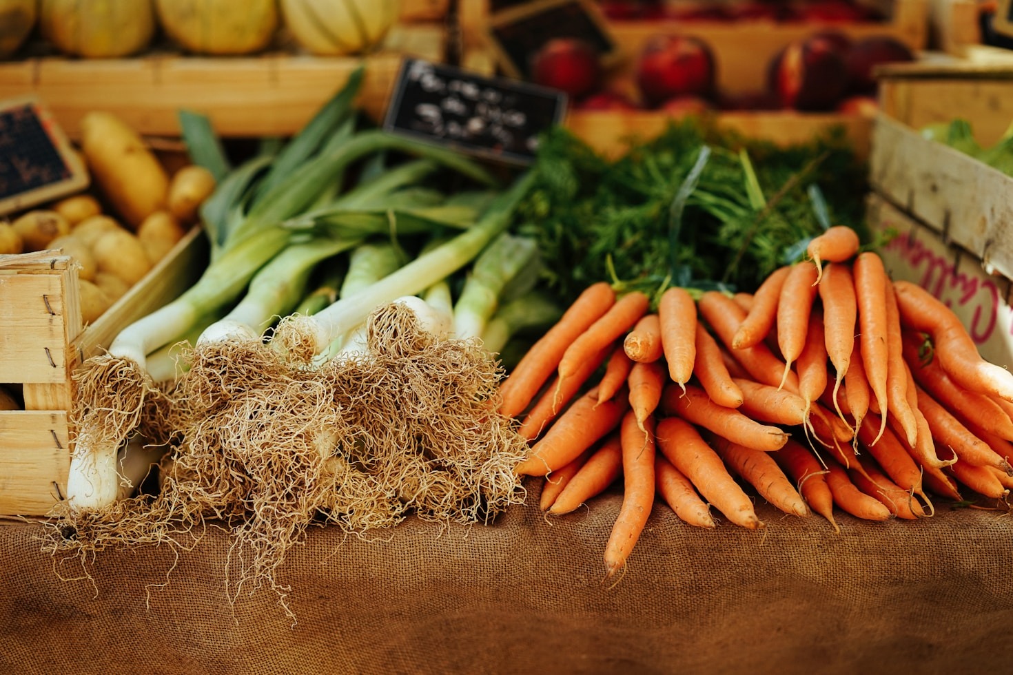Creating Herbal Remedies at Home Made Easy
