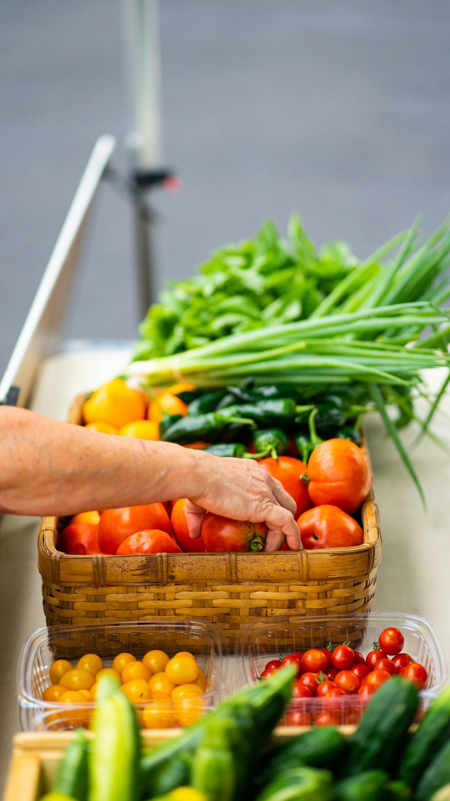 Cultivating the Perfect Garden for Self-Sufficiency