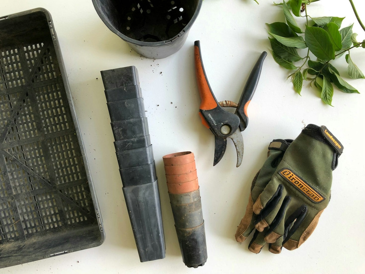 Seasonal Recipes to Celebrate Your Harvest